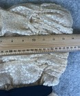 Bild 9 von 12