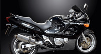 Suzuki Gsxf 600 750 1998-2006 Ovaler Edelstahl EndschalldäMpfer 350 Mm Delk