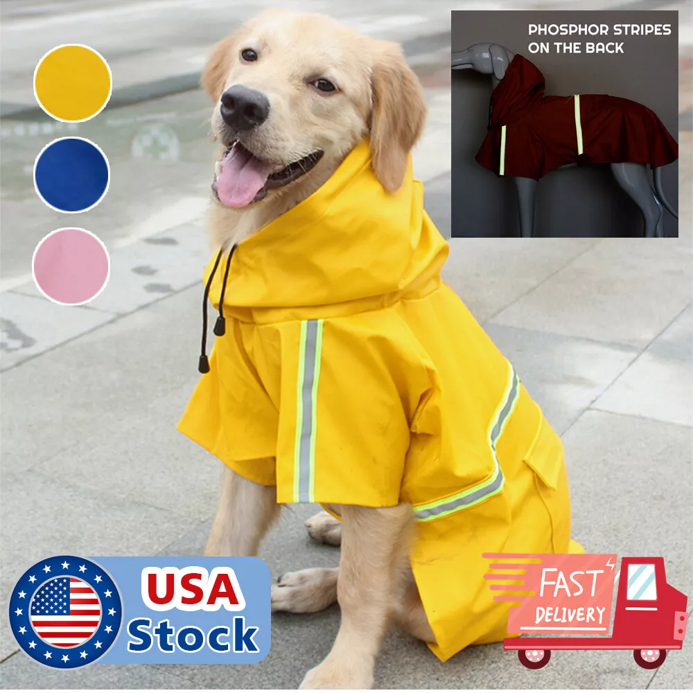 Doggie rain sale gear