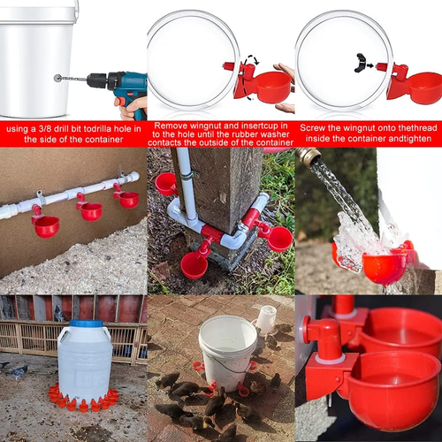 6 Abbeveratoio Automatico Bevitore per Pollame Galline Tazze per Acqua Potabile - Foto 3 di 6