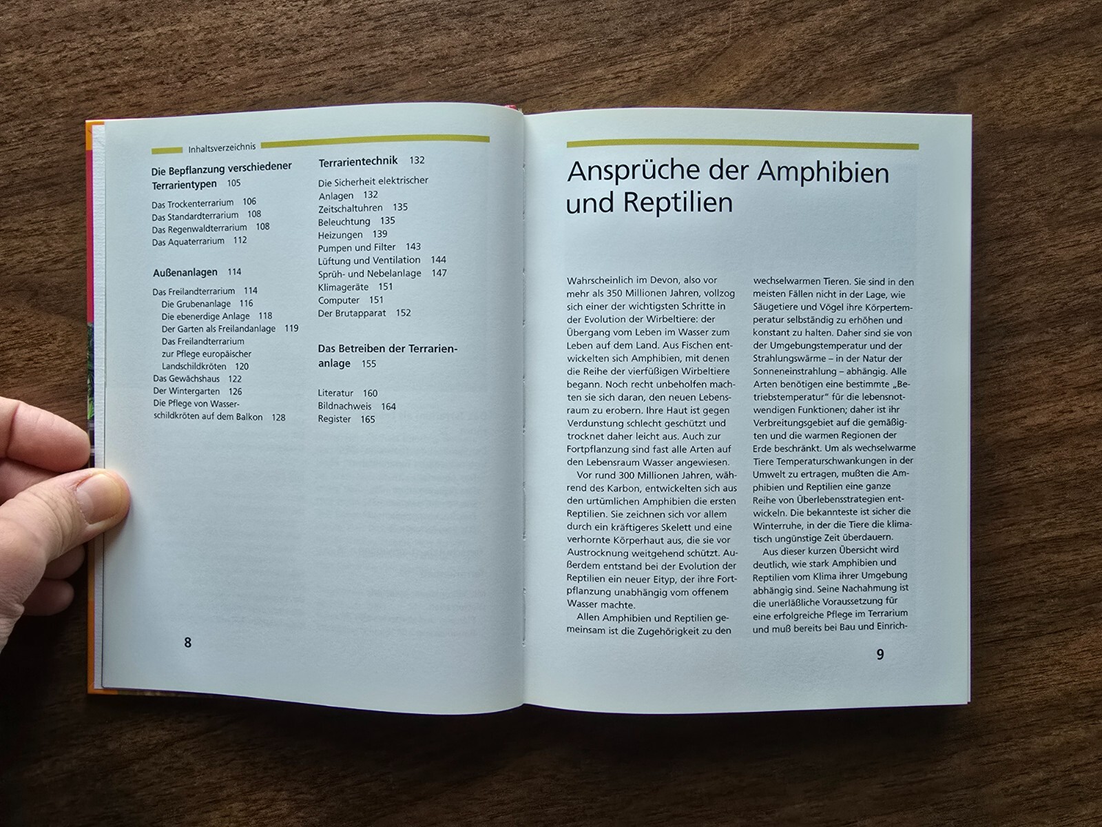 Bild 6 von 12