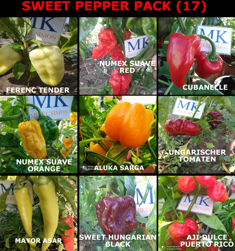 Sweet Pepper,9 variedades de pimientos ,90 semillas,seeds (17)