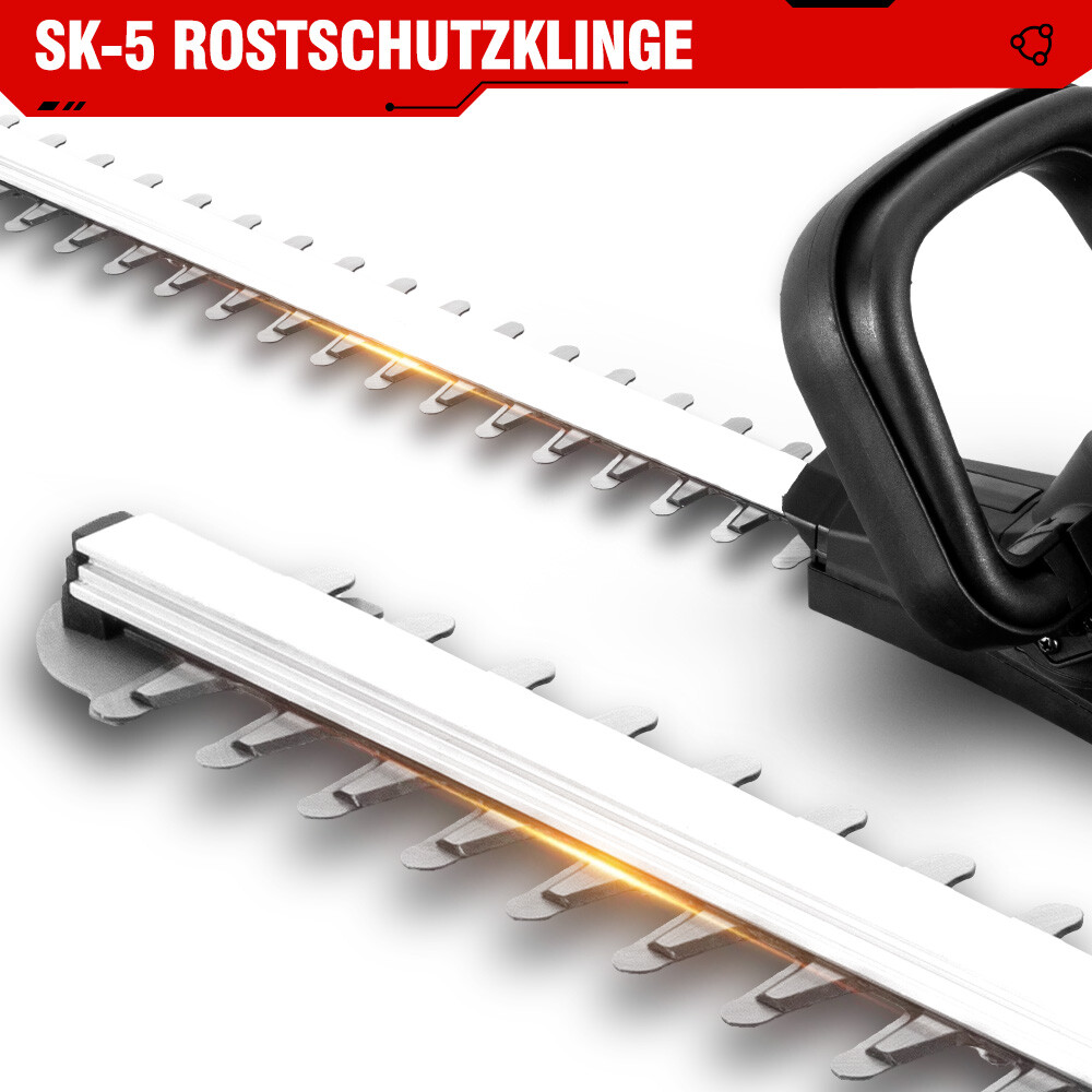 Bild 5 von 11