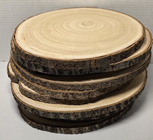 Set of 10 Larg Wood Slices (10-12") for Wedding Centerpieces, Event Decor & More - Picture 2 of 5