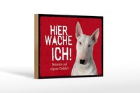 Holzschild Spruch 18X12 Cm Bullterrier Hier Wache Eigene Gefahr Schild