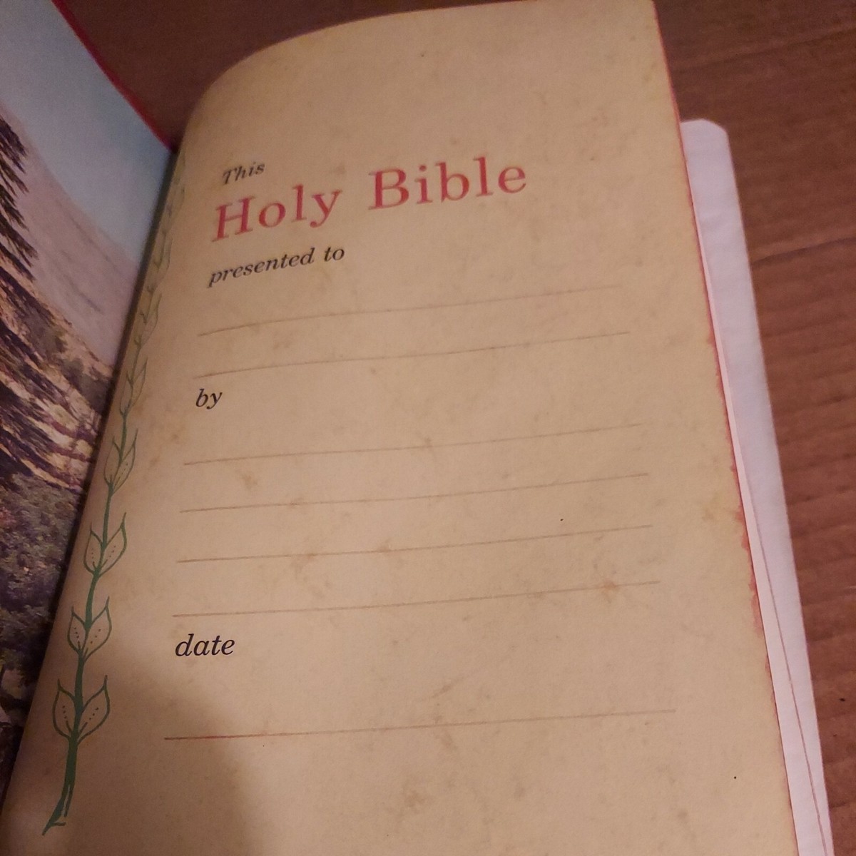 ビンテージ　HOLY BIBLE 聖書　2冊セット ビンテージ HOLY BIBLE 聖書 2冊セット ビンテージHOLY BIBLE