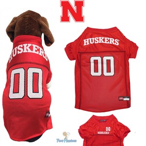 nebraska cornhuskers fan shop