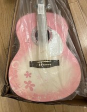 Martin Smith Guitar Pink