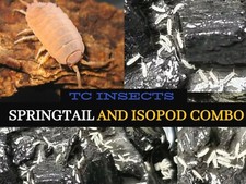 15 Powder Orange Isopods  8oz Tropical White Springtail Culture  Free Ship