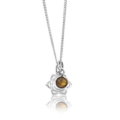 Sakralchakra/Svadhishthana Chakra Charm Halskette in Sterlingsilber Tigerauge