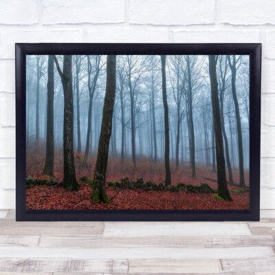 Nebelwälder Nebel Wald Bäume Baum Blätter Buche Ast Wandkunstdruck