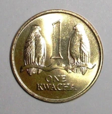 1992 Zambia Coin 1 kwacha Taita Falcons on Branch Bird Animal Wildlife