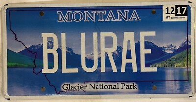 GLACIER PARK vanity BLU RAE BLUE RAY license plate Rachel Rayne Raymond Movie MT