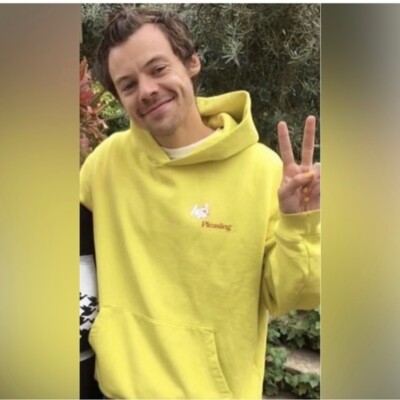 Pleasing By Harry Styles Coachella 