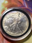 1999 American Silver Eagle $1 Coin 1oz .999 Silver Round- Toned