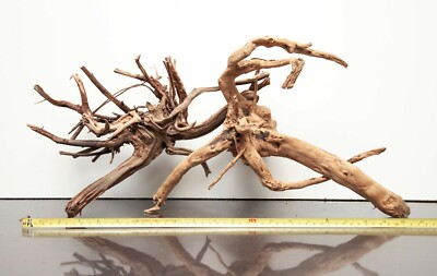 Driftwood ADA Style SPIDER WOOD Aquarium Stump Branch  Aquarium A009 WYSIWYG