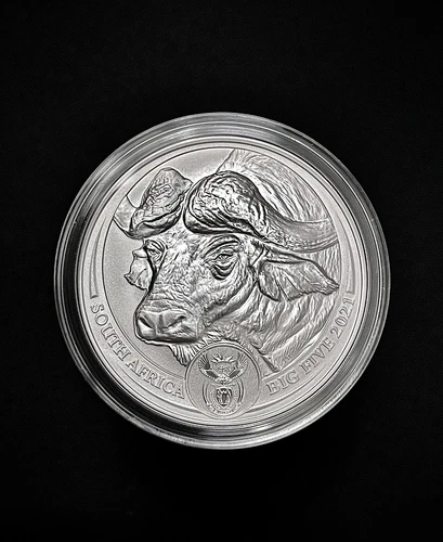 2021 South Africa Big Five Buffalo 1 oz Silver Coin BU