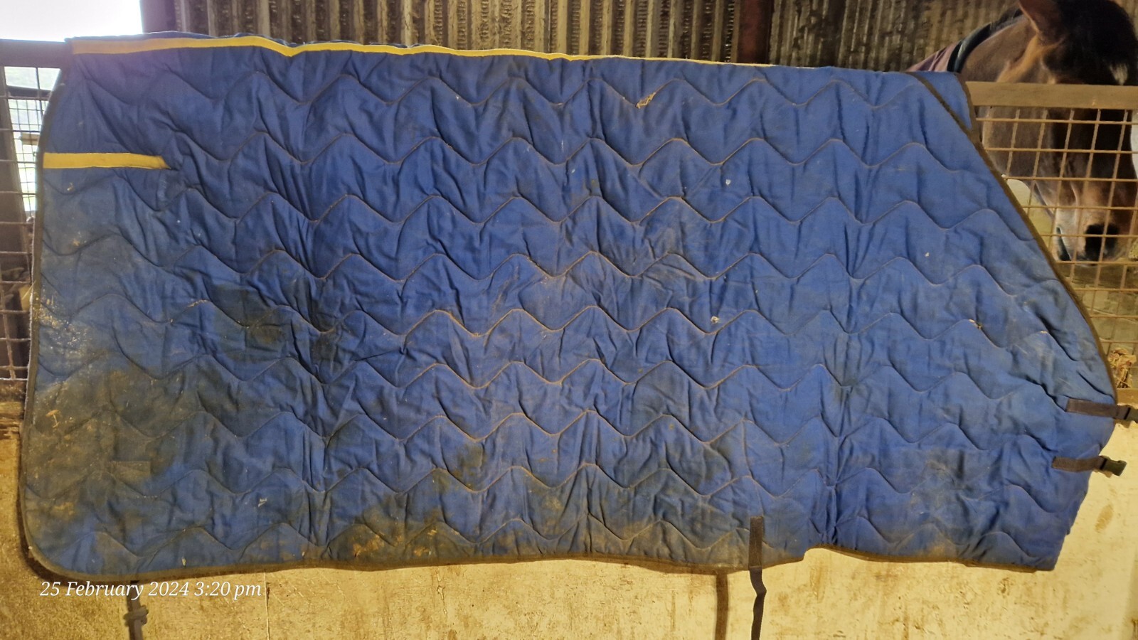 6 horse Rugs Joblot Includes Postage (FALPRO/COLIN COOK/RAMBO/SHIRES