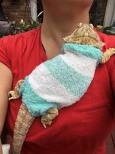 SOFT SNUG PRINTS 4 XLRG SLEEVELESS BODY SHIRT 4 UNISEX BEARDED DRAGON