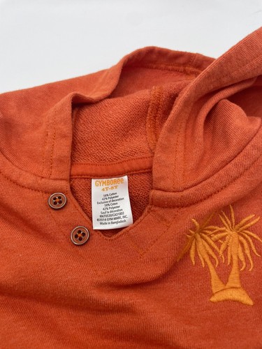 Gymboree All In Motion Size 4-5, 6 Fall Colors Pullover Hoodie Sweatshirts 3-Set - Picture 6 of 18