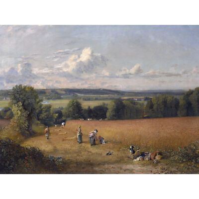 Constable das Weizenfeld 1816 Gemälde großer Wandkunstdruck 18 x 24 Zoll