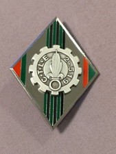 French Foreign Legion Cie. de Transport de Legion Etrangere no. 2/519 Cap Badge