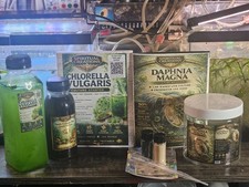 500 Live Daphnia Magna Chlorella Vulgaris Bundle Food Nutrients