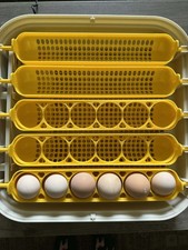 5 Egg Inserts for egg tray for Standard sized eggs for MATICOOPX 30 Incubator