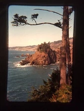 XAG11 35mm Slide Photo Vintage GEISEL MON WAYSIDE US 101 OREGON EEEEE