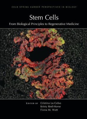 Stem Cells: From Biological Principles to Regenerative Medicine (Perspectives