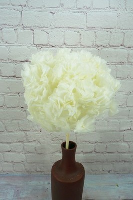 Hortensia Stabilisé (Hydrangea Macrophylla) Blanc Crème   Fleur Stabilisée Déco