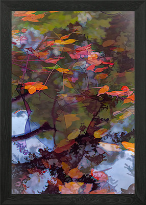 Herbstreflexion am See Gerahmtes Wandbild Poster Leinwanddruck Bild