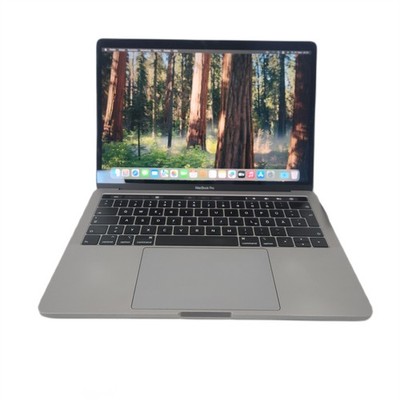 Apple MacBook Pro 15,2 2018 13,3 Zoll Core i7-8559U 16GB RAM 1TB HDD B