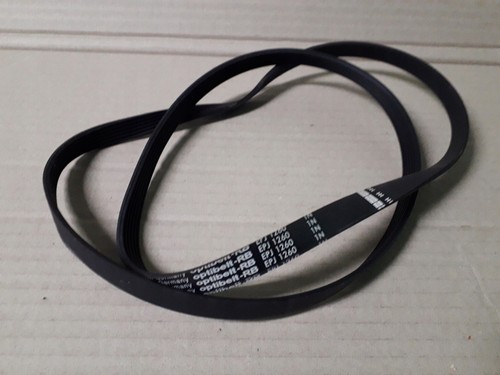 EPJ 1260 Waschmaschinen Antriebsriemen GORENJE PS15 44142 1 Stück