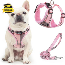 Soft Mesh Dog Harness and Leash Set Pet Puppy Cat Adjustable Reflective Padded V