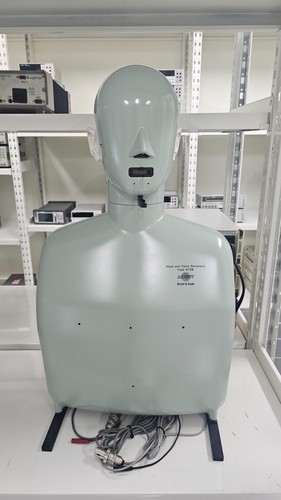 Bruel & Kjaer HATS 4128C - HEAD AND TORSO SIMULATOR - Picture 3 of 6