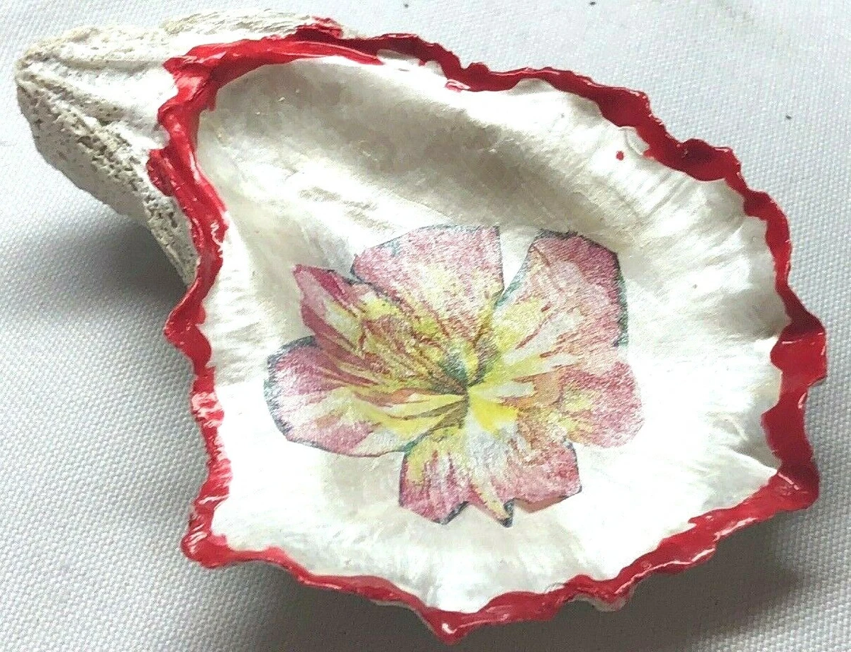 Seashell Ring Holder Unique gift Hand Crafted Painted Room Decor