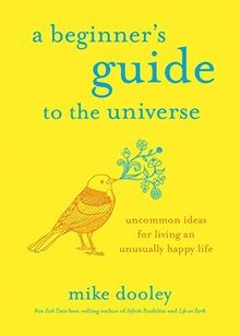 A Beginners Guide to the Universe: Uncommon Ideas for L... | Buch | Zustand gut