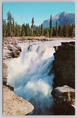 Athabasca Falls Canadian Rockies Vintage Postcard