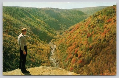Blackwater Canyon WV Vintage Postcard Autumn Foliage Scenic View Man Pointing