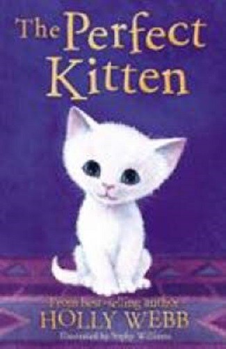 The Perfect Kitten by Holly Webb NEW Paperback Book