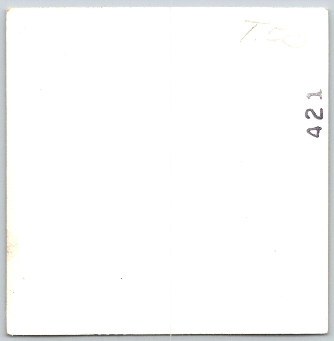 Picture 2