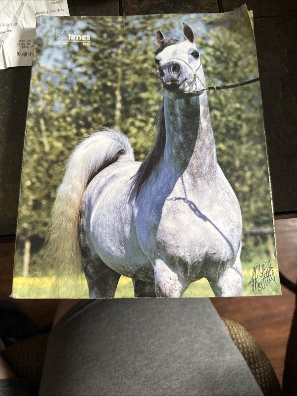 The Arabian Horse Times Magazine June 1996 / Ultimate Star Cover