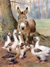 Geese and a Donkey. Secrets by H. Weekes Tile Mural Kitchen Backsplash Ceramic