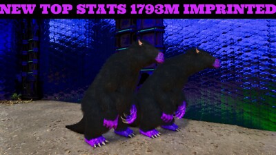 ARK Survival Ascended PvE PC/XBOX/PS5 NEW Top Stats Megatherium 1793m Imprinted