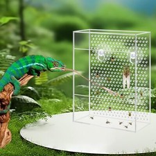 Chameleon Bearded Dragon Feeder Wall-Mounted Insect Feeder for Reptile Lizard