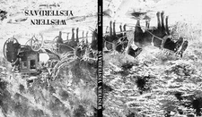 Postcard Western Yesterdays Boulder Co Forest Crossen