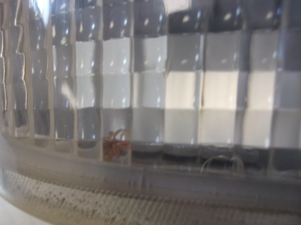 1995 - 2005 Chevrolet S10 Blazer / GMC S15 Jimmy Driver LH Tail Light OEM - Image 3 of 4