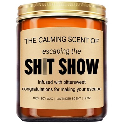 Sarcastic Candles, Going Away, Goodbye, Farewell Gifts for Coworkers  Retirem...