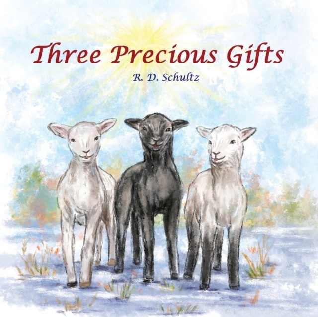Three Precious Gifts by R D Schultz PAPERBACK 9781951809058